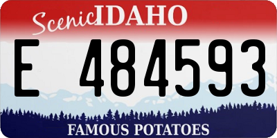 ID license plate E484593