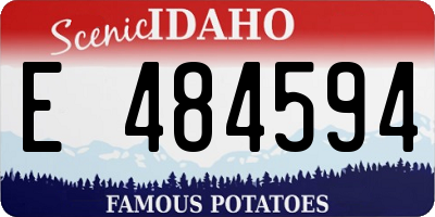 ID license plate E484594