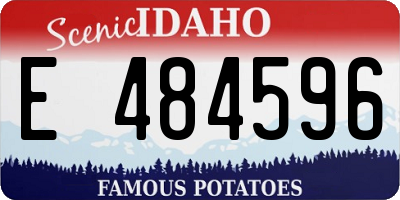 ID license plate E484596