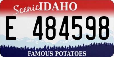ID license plate E484598