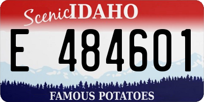 ID license plate E484601
