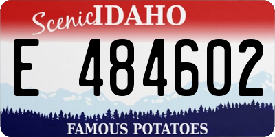 ID license plate E484602
