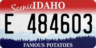 ID license plate E484603