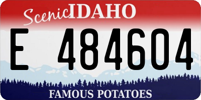 ID license plate E484604