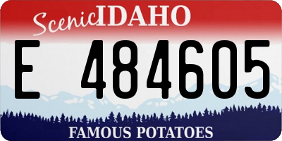 ID license plate E484605