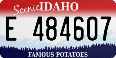 ID license plate E484607