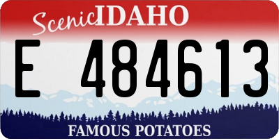 ID license plate E484613