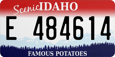 ID license plate E484614