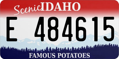 ID license plate E484615
