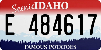ID license plate E484617