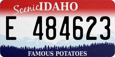 ID license plate E484623