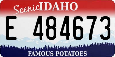 ID license plate E484673