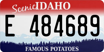 ID license plate E484689