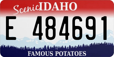 ID license plate E484691