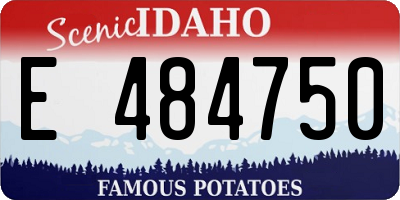 ID license plate E484750