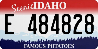 ID license plate E484828