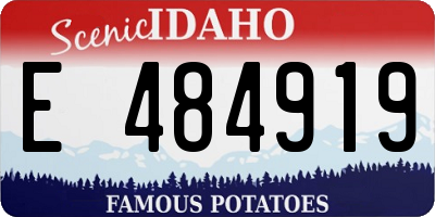 ID license plate E484919