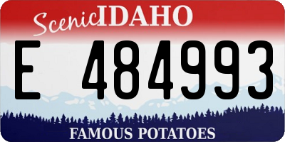 ID license plate E484993