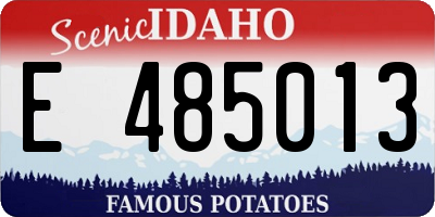 ID license plate E485013