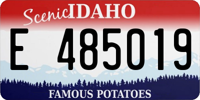 ID license plate E485019