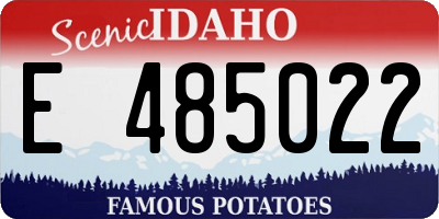 ID license plate E485022