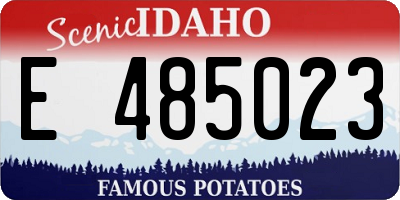 ID license plate E485023