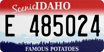 ID license plate E485024