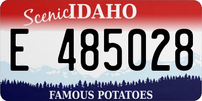 ID license plate E485028