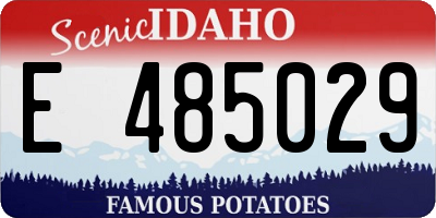 ID license plate E485029