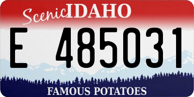 ID license plate E485031