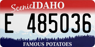 ID license plate E485036