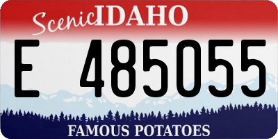 ID license plate E485055
