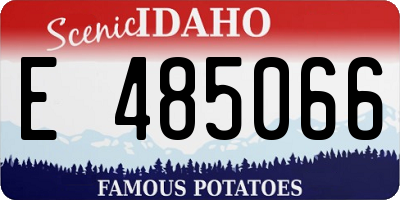 ID license plate E485066