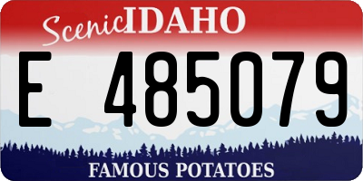 ID license plate E485079
