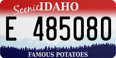 ID license plate E485080