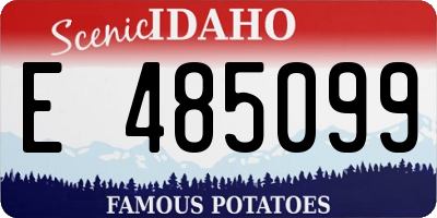 ID license plate E485099