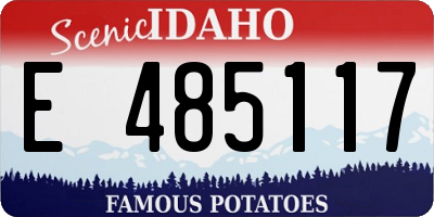 ID license plate E485117