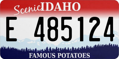 ID license plate E485124