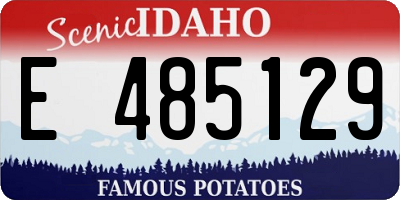 ID license plate E485129
