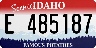 ID license plate E485187
