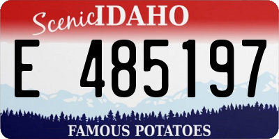 ID license plate E485197