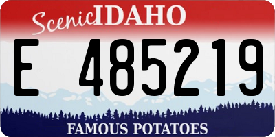 ID license plate E485219