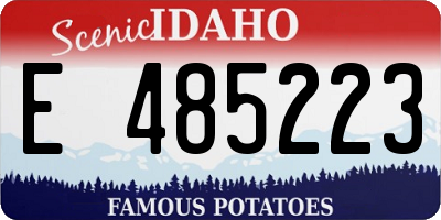 ID license plate E485223