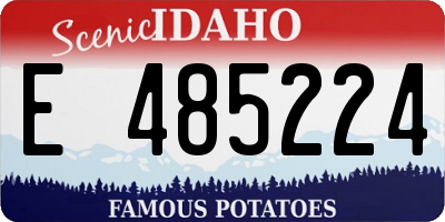 ID license plate E485224