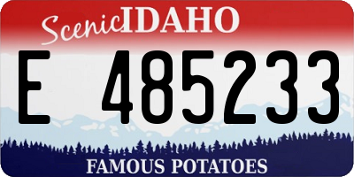 ID license plate E485233