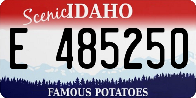 ID license plate E485250