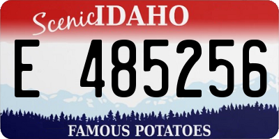 ID license plate E485256