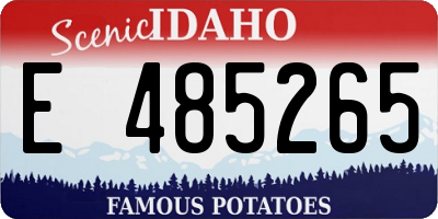 ID license plate E485265