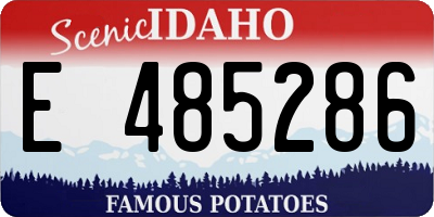 ID license plate E485286