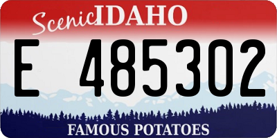 ID license plate E485302